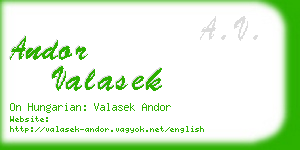 andor valasek business card